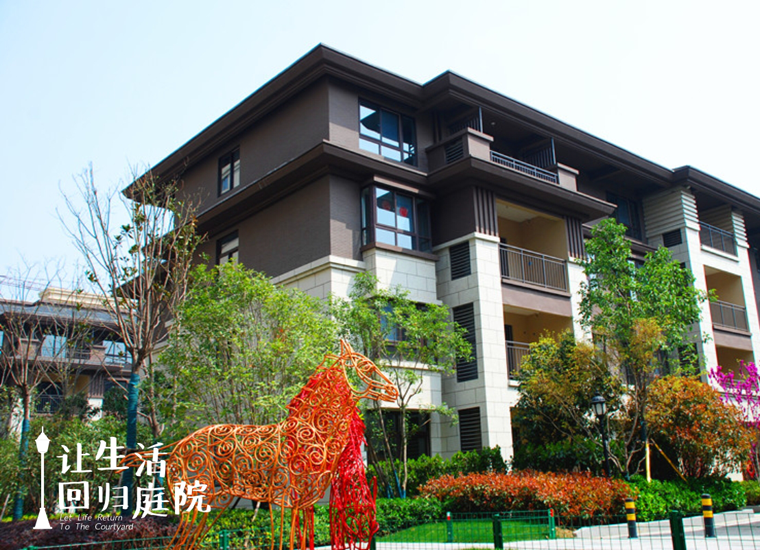 前后张望南阳50年：这样的庭院，，，很难再有了！