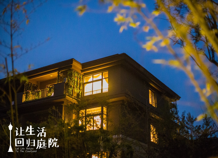 前后张望南阳50年：这样的庭院，，，很难再有了！