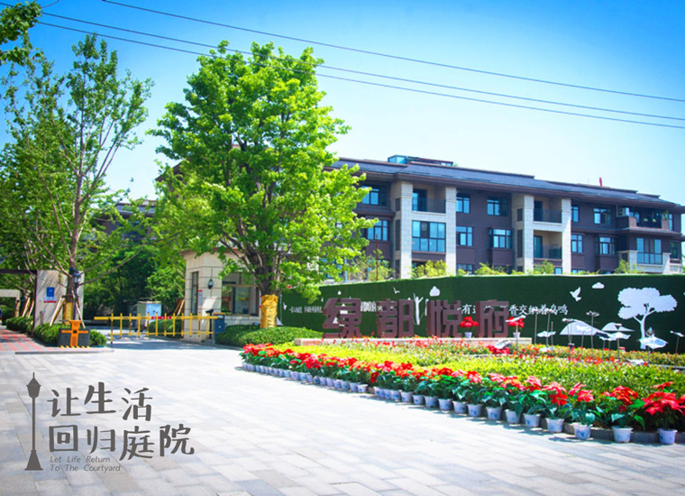 前后张望南阳50年：这样的庭院，，，很难再有了！
