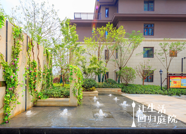 前后张望南阳50年：这样的庭院，，，很难再有了！