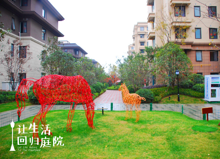 前后张望南阳50年：这样的庭院，，，很难再有了！