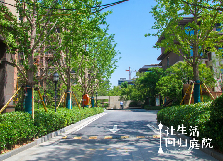 前后张望南阳50年：这样的庭院，，，很难再有了！