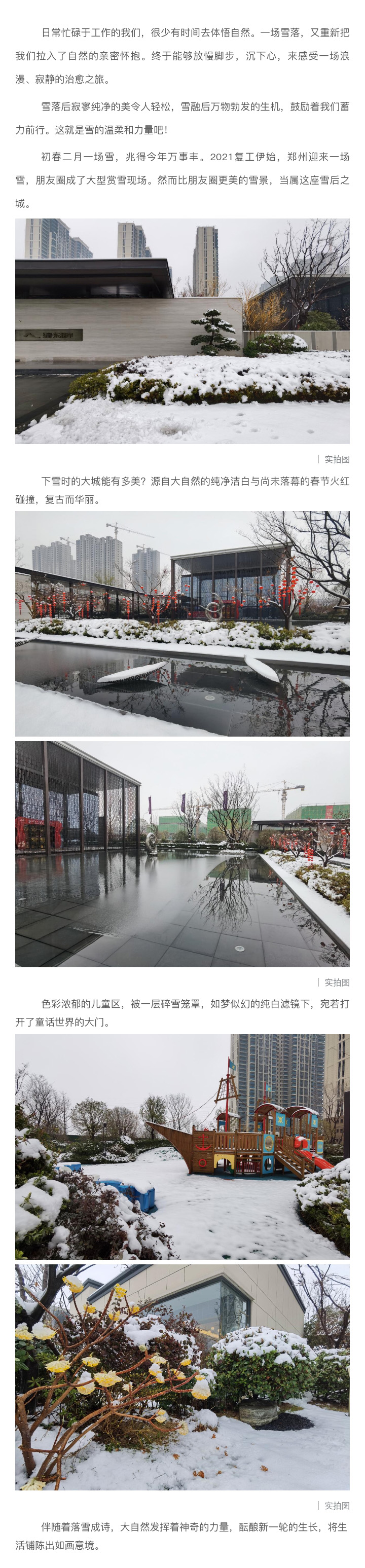 2021浪漫开年，，，，共赏一场鹅毛大雪！