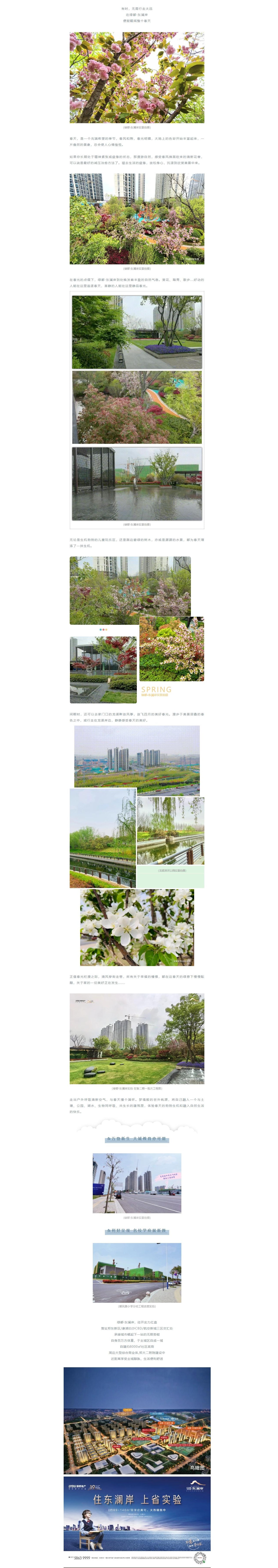 赏花踏青，，，，，来一场和春天的约会
